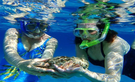 Snorkeling at Ras Mohammed National Park, Red Sea Egypt Snorkeling at Ras Mohammed National Park, Red Sea Egypt